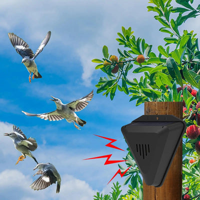 Effaroucheur Solaire Étanche 13 Modes Sonores pour Oiseaux