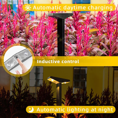 Lampe Solaire de Jardin à Planter pour Pelouse et Allée