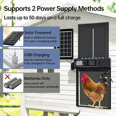 Porte Automatique de Poulailler Solaire Étanche Minuterie Intelligente