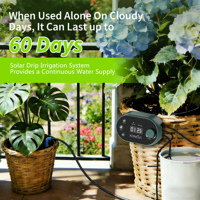 Système d'Irrigation Solaire Automatique 15 Pots