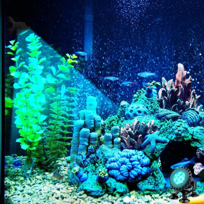 Spot Solaire Bassin Submersible RGB Étanche IP68