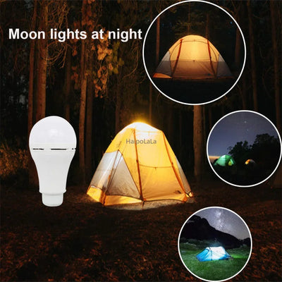 Ampoule Solaire LED avec Panneau Photovoltaïque Déporté et Télécommande 7W/9W