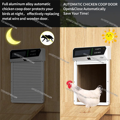 Porte Automatique de Poulailler Solaire Enroulable Détection de Lumière