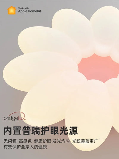 https://cdn.shopify.com/s/files/1/2499/8120/files/S1712d1660e0c44849d3f025373bd1de16_cb3040d5-d30c-4df4-aa74-82f5aad2866d.webp?v=1728287822