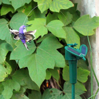 Colibri Solaire Volant Animé Décoration de Jardin