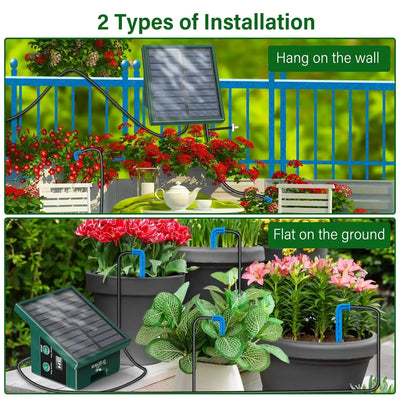 Système d'Irrigation Goutte-à-Goutte Solaire de Jardin