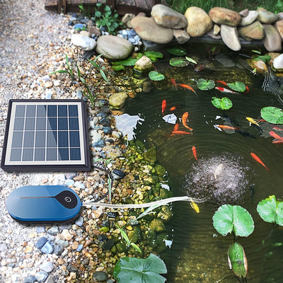 Pompe à Air Solaire pour Bassin et Étang à Poissons