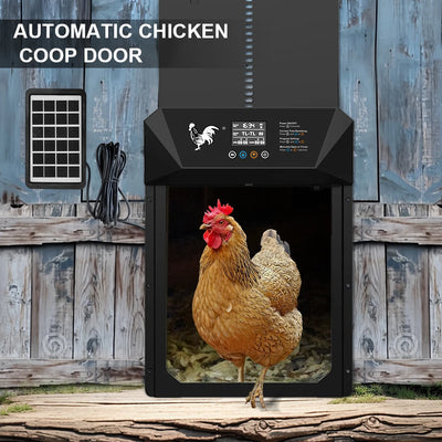 Porte Automatique de Poulailler Solaire Grand Format Quatre Modes