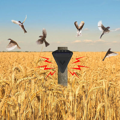 Effaroucheur Solaire Étanche 13 Modes Sonores pour Oiseaux