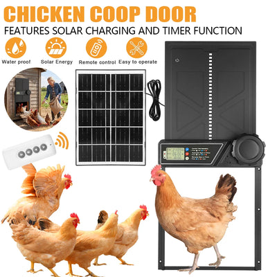 Porte Automatique de Poulailler Solaire Grand Froid et Chaleur
