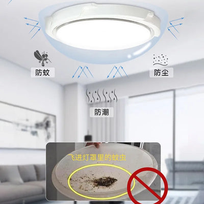 Projecteur Solaire LED Extérieur Puissant
