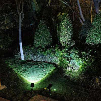 Lumière Solaire de Chemin Projecteur Extérieur pour Allée et Jardin