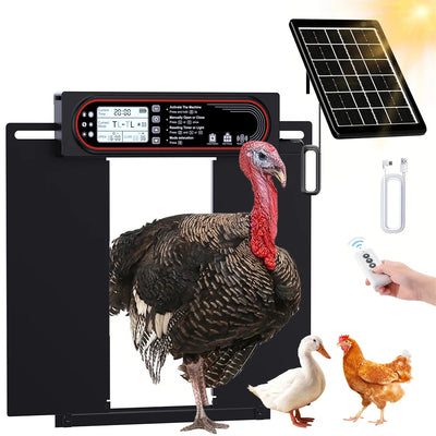 Porte Automatique de Poulailler Solaire Grande Largeur Dindes