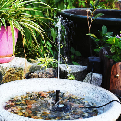 Kit Fontaine Solaire 5 W à 5 Buses pour Bassin de Jardin