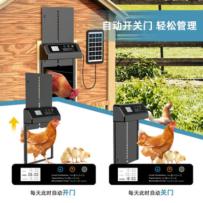 Porte Automatique de Poulailler Solaire en Acier Inoxydable