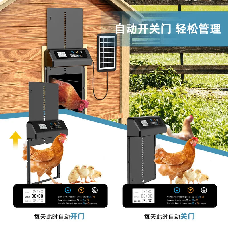 Porte Automatique de Poulailler Solaire en Acier Inoxydable