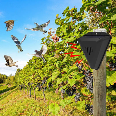 Effaroucheur Solaire Oiseaux 13 Modes Sonores Extérieur