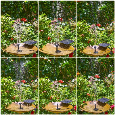 Fontaine Solaire 2,5 W à Panneau Déporté pour Bain d'Oiseaux