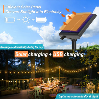 Guirlande Solaire Extérieur G40 avec Télécommande Globe IP65