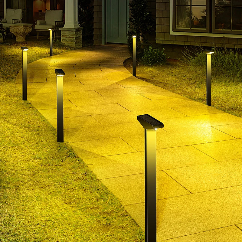 Lampe Solaire de Jardin à Planter pour Pelouse et Allée