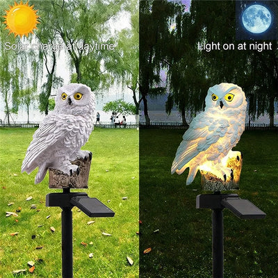 Lampe Solaire Hibou LED Étanche Éclairage d'Allée