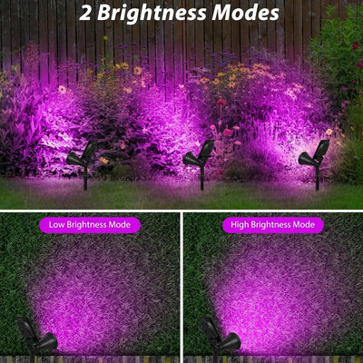 Lampe Solaire Paysage LED Lumière Noire IP65 Jardin