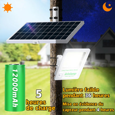 Projecteur Solaire Extérieur LED 3000lm Détecteur de Mouvement IP65