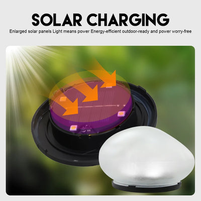 Lampe Solaire Décorative Extérieur Galet Lumineux de Jardin