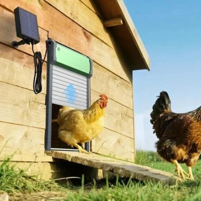 Porte Automatique de Poulailler Solaire Pivotante pour Élevage