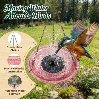 Fontaine Solaire Suspendue Bain d'Oiseaux et Mangeoire de Jardin