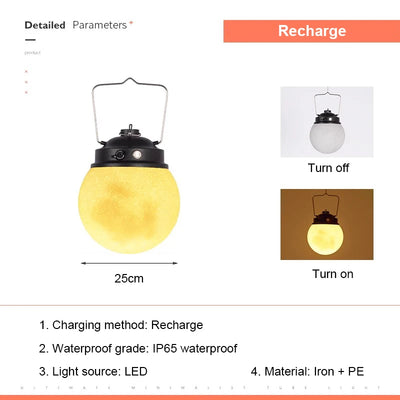 Applique Solaire Murale Lune LED Étanche