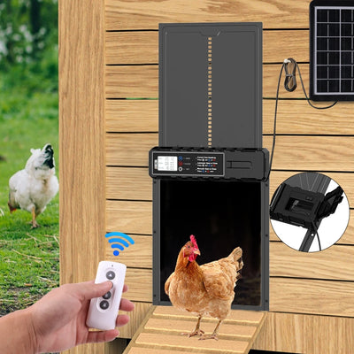 Porte Automatique de Poulailler Solaire Panneau Déporté