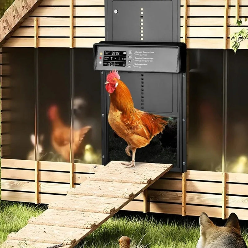 Porte Automatique de Poulailler Solaire Programmable Levage Anti-Pincement