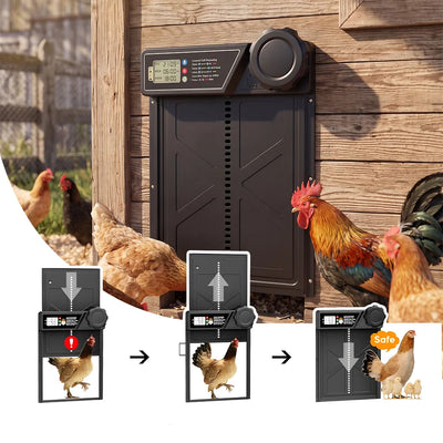 Porte Automatique de Poulailler Solaire Noire avec Minuterie