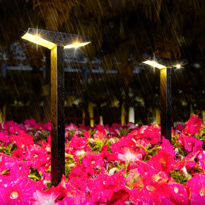 Lampe Solaire de Jardin à Planter pour Pelouse et Allée