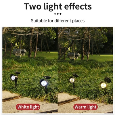 Projecteur Solaire LED Extérieur à Planter pour Pelouse, Cour et Arbre