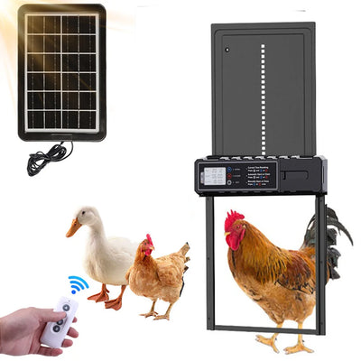 Porte Automatique de Poulailler Solaire Étanche Minuterie Intelligente