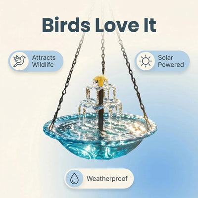 Bain d'Oiseaux Solaire Cascade avec Bol en Verre et Mangeoire