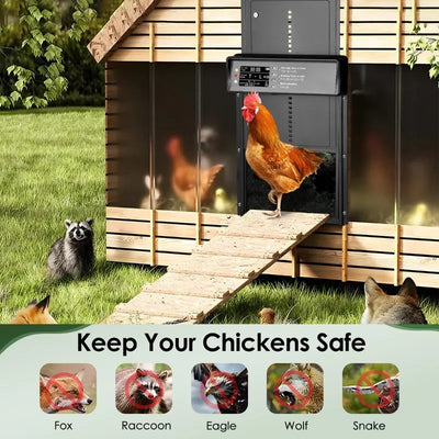 Porte Automatique de Poulailler Solaire Mécanisme de Levage pour Jardin