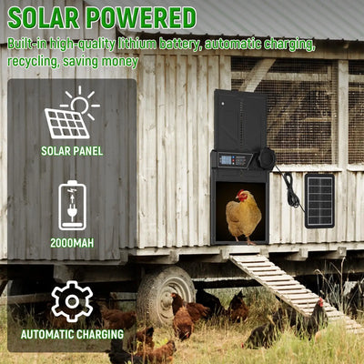 Porte Automatique de Poulailler Solaire Capteur Jour et Nuit