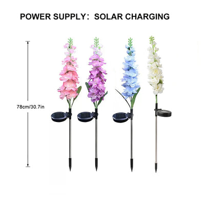 Lampe Solaire Jacinthe Multicolore RVB pour Pelouse