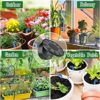 Kit d'Irrigation Solaire Goutte-à-Goutte Automatique