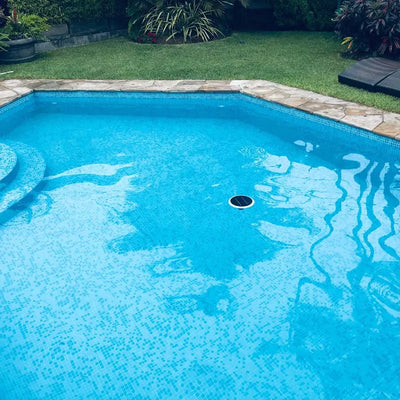 Purificateur Ioniseur Solaire Piscine Anti-Algues Eau Claire