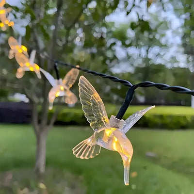 Guirlande Solaire Colibris 20 LED 8 Modes Étanche