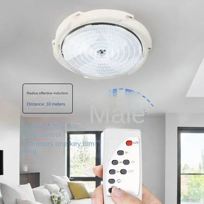 Lampe Solaire Intérieur Plafonnier Variateur d'Intensité 60W à 500W