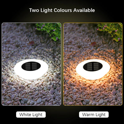 Lampe Solaire Pelouse 14 LED 360° Étanche Jardin Allée Camping