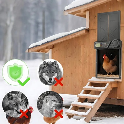 Porte Automatique de Poulailler Solaire Noire avec Minuterie