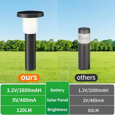Lampe Solaire de Jardin à Planter pour Pelouse et Allée (Lot de 2)