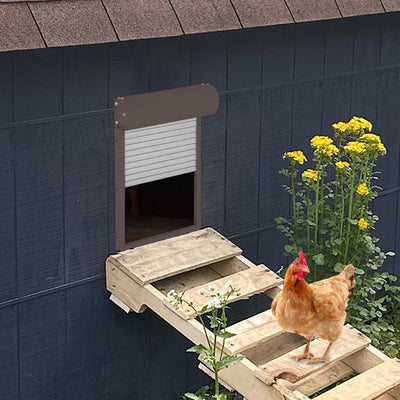 Porte Automatique de Poulailler Solaire 5W avec Auvent Métal