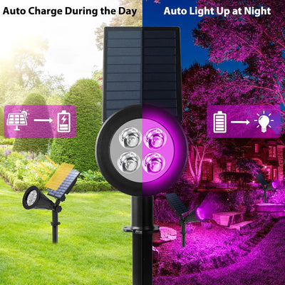 Lampe Solaire Paysage LED Lumière Noire IP65 Jardin